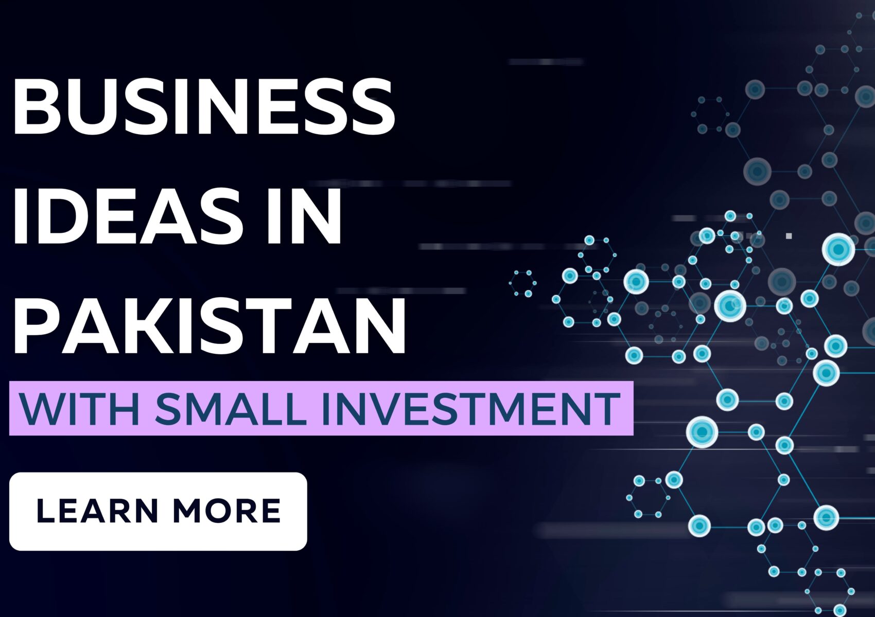 business ideas in pakistan with small investment