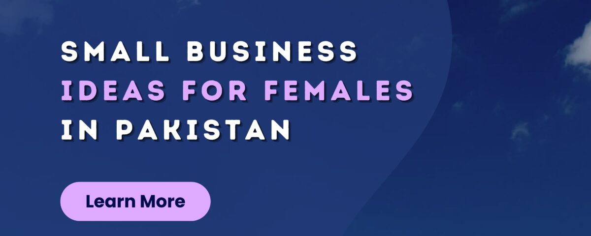 Small Business Ideas for Females in Pakistan | Bhatti Marketing